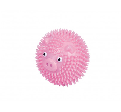 Nobby Tpr Rubber Noppen Ball Pig 6,5cm