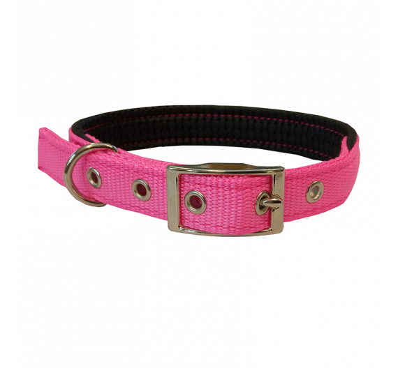 Pet Interest Περιλαίμιο Neoprene Fluo