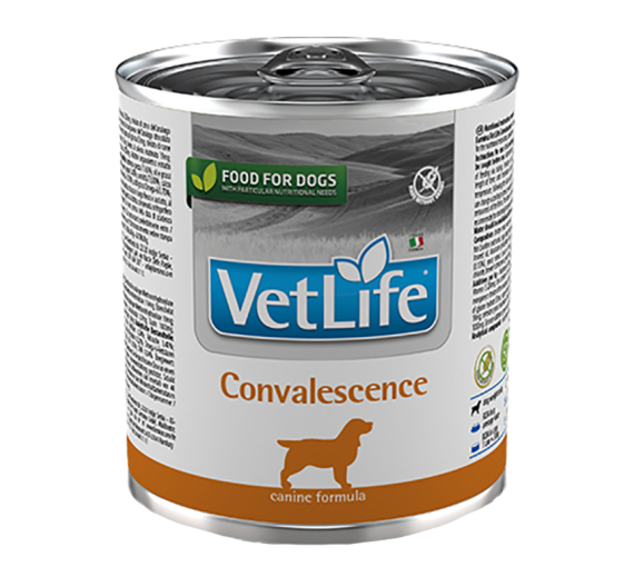 Farmina Vet Life Dog Convalescence 300gr