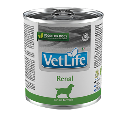 Farmina Vet Life Dog Renal 300gr