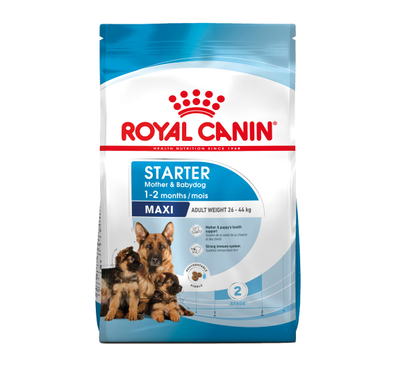 Royal Canin Maxi Starter 4kg