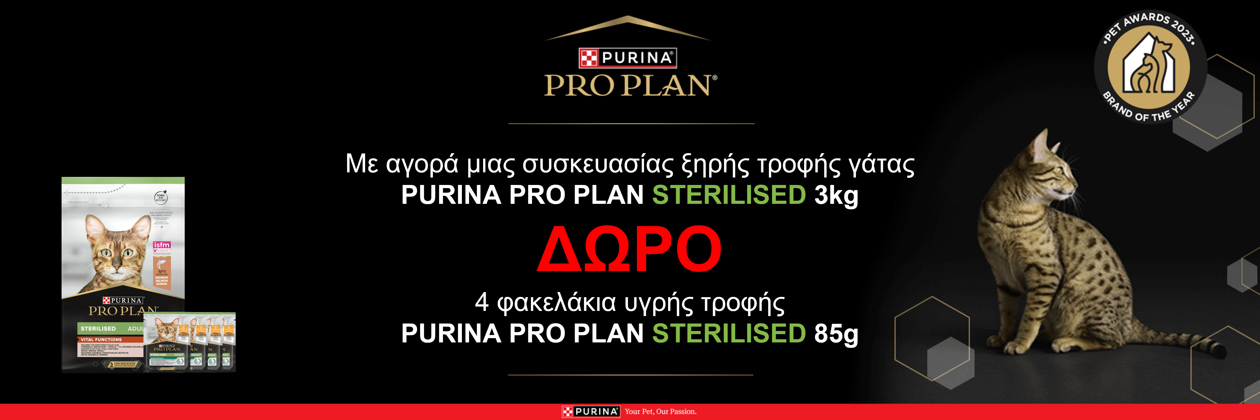 pro_plan_offer_oct